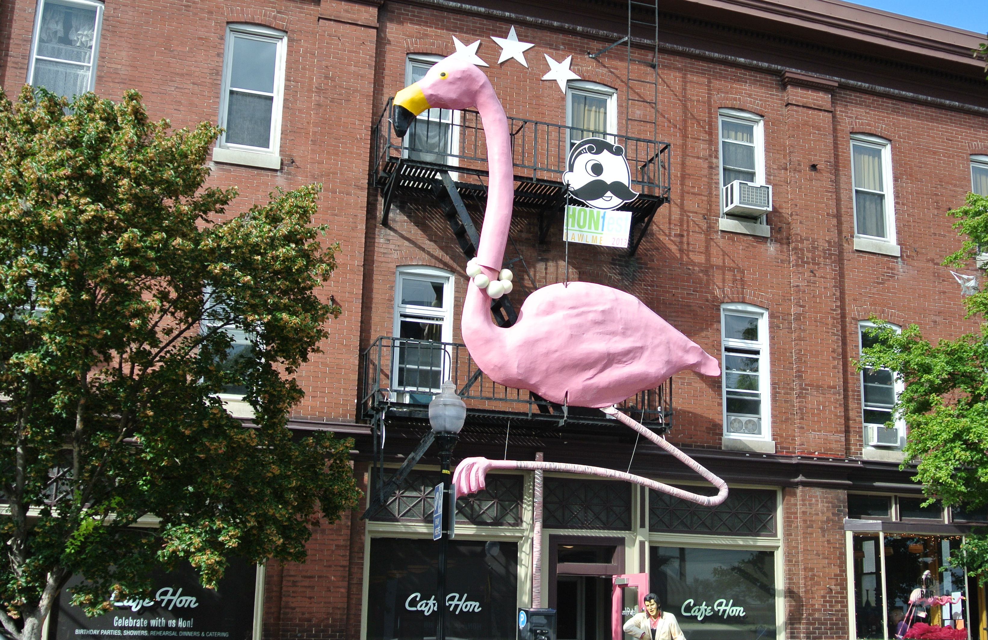 Famous Pink Flamingo